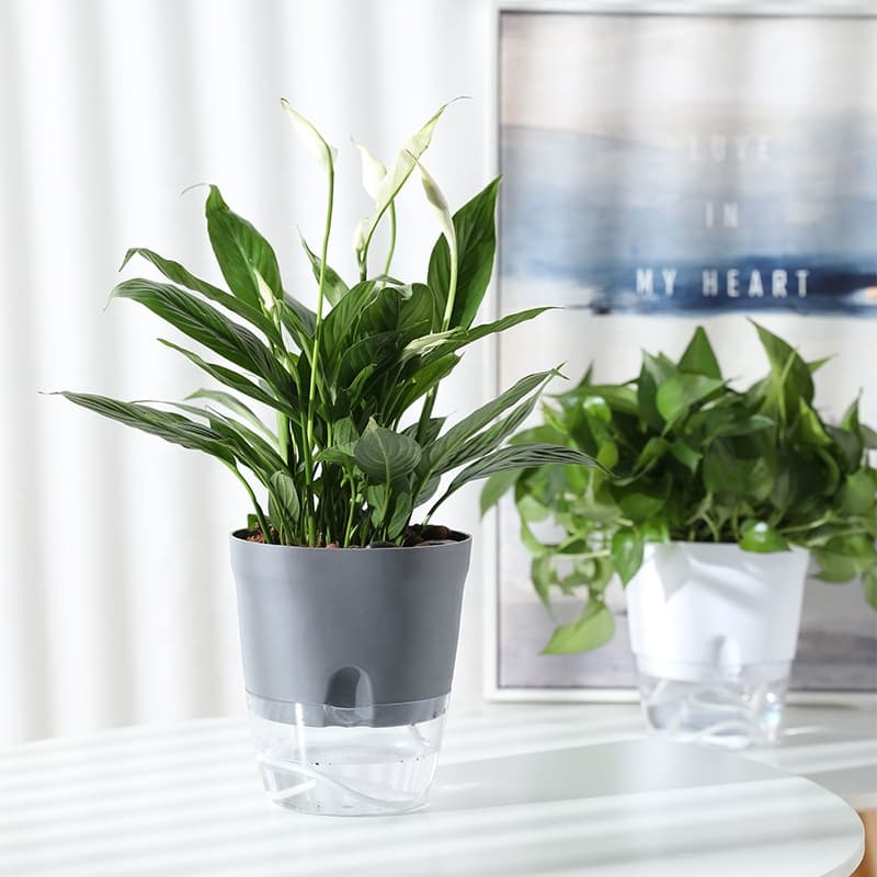 Grey Self-Watering Pot product image 3
