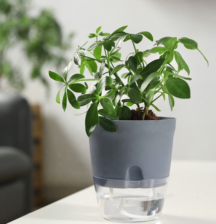 Grey Self-Watering Pot product image