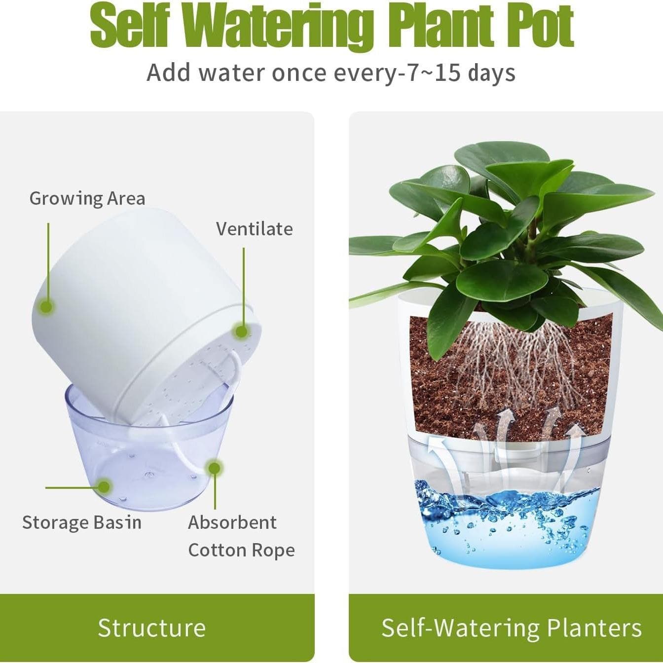 Self-watering pot structure