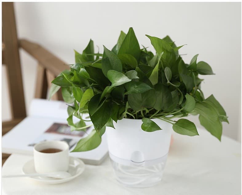White Self-Watering Pot product image 2